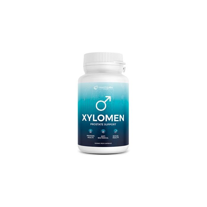 〔 Xylomen 〕 〔 capsules for prostatitis 〕