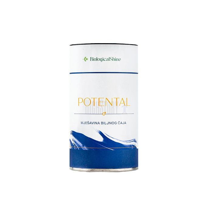 〔 Potental 〕 〔 male libido enhancer 〕