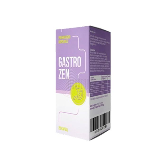 〔 Gastro ZEN 〕 〔 remedy for the health of the stomach and digestive system 〕