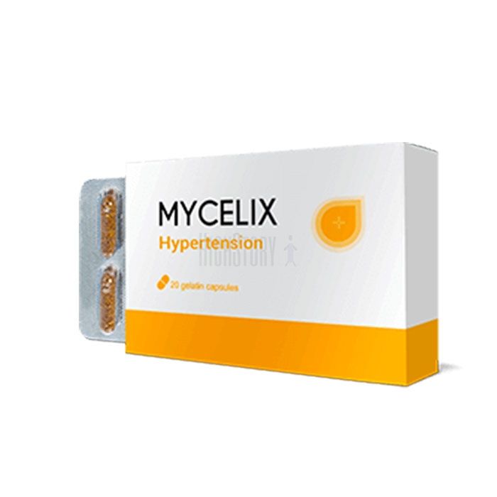 〔 Mycelix 〕 〔 Heilmittel gegen Bluthochdruck 〕